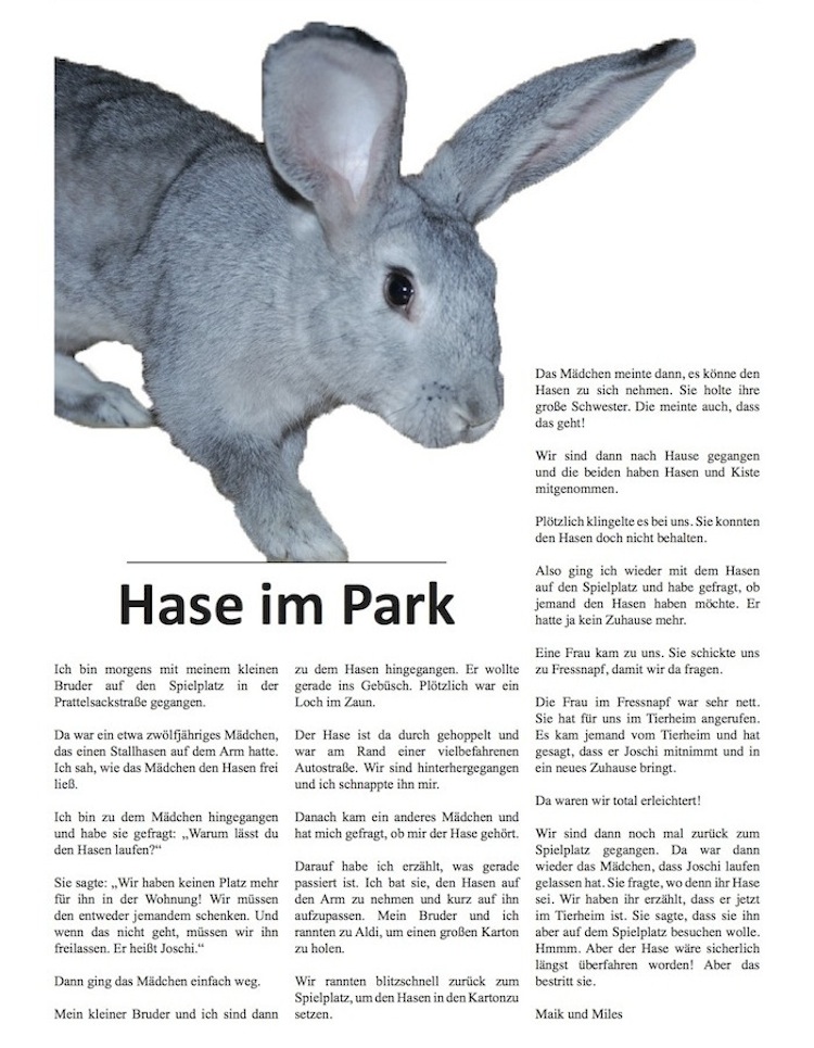 Hase