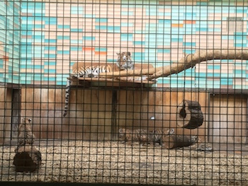 Tierpark