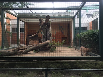 Tierpark