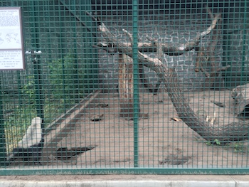 Tierpark