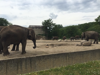 Tierpark
