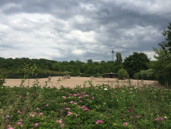Tierpark