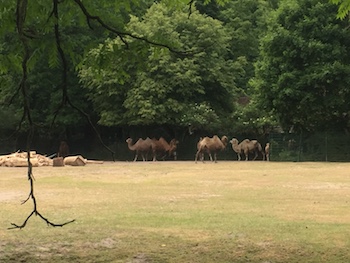 Tierpark
