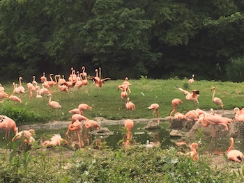 Tierpark