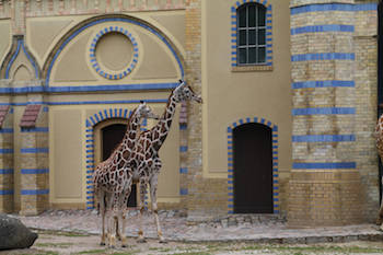 Zoologischer Garten Zoologischer Garten