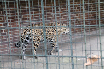 Zoologischer Garten Zoologischer Garten