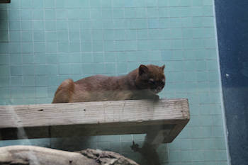 Zoologischer Garten Zoologischer Garten