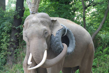 Zoologischer Garten Zoologischer Garten